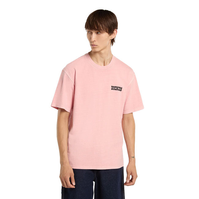 Dickies Buchtell t-shirt bridal rose