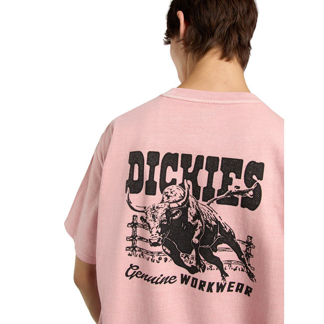 Dickies Buchtell t-shirt bridal rose