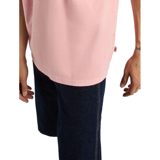 Dickies Buchtell t-shirt bridal rose