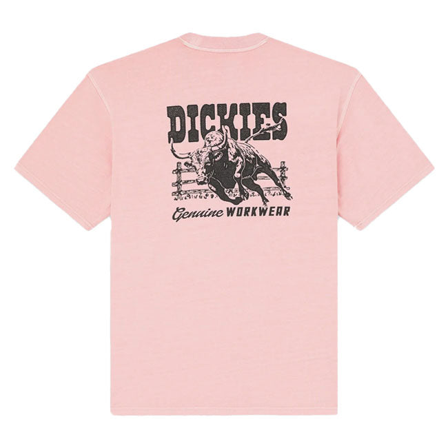 Dickies Buchtell t-shirt bridal rose