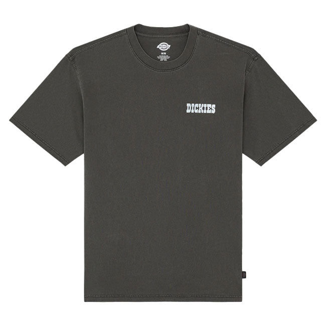 Dickies Buchtell t-shirt black