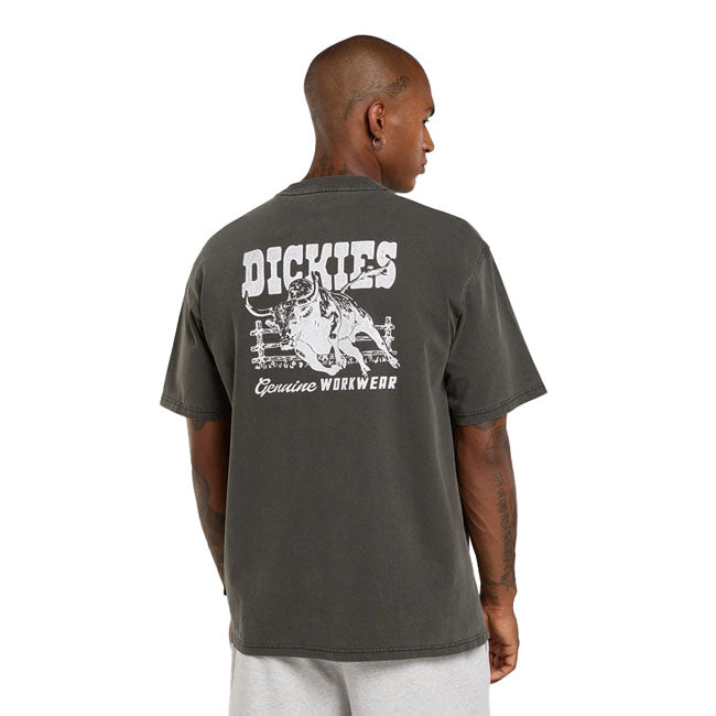 Dickies Buchtell t-shirt black