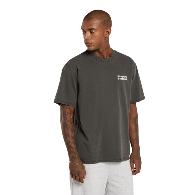 Dickies Buchtell t-shirt black