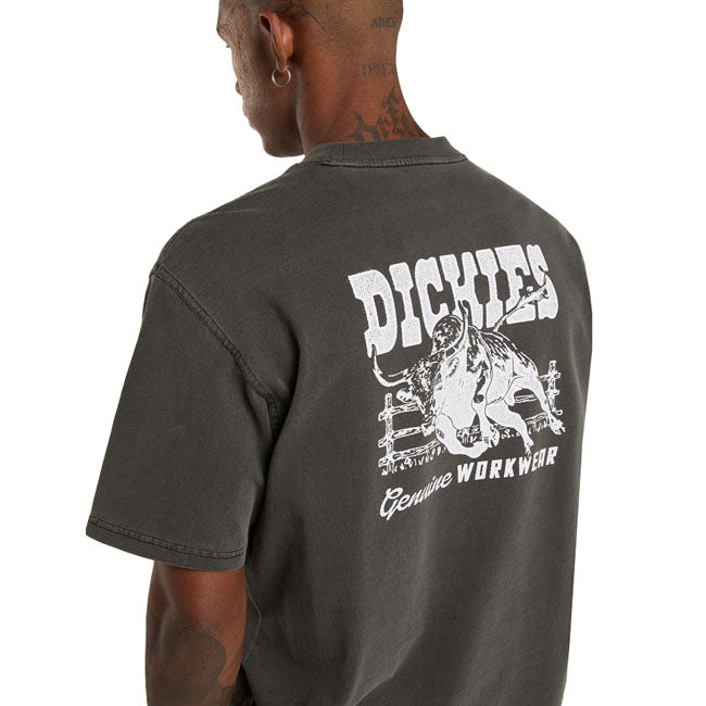 Dickies Buchtell t-shirt black