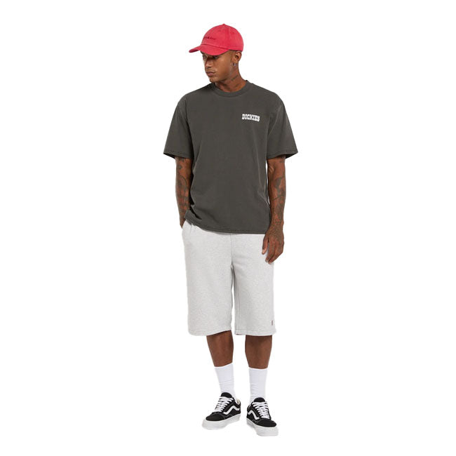 Dickies Buchtell t-shirt black