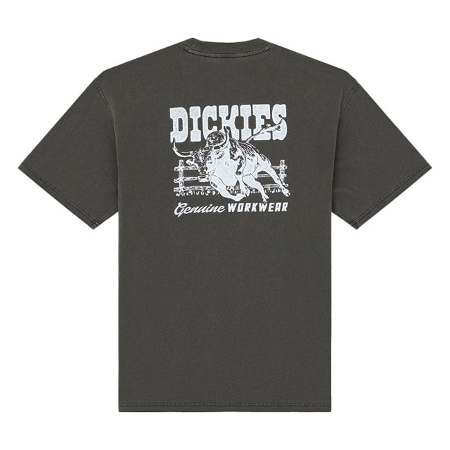 Dickies Buchtell t-shirt black