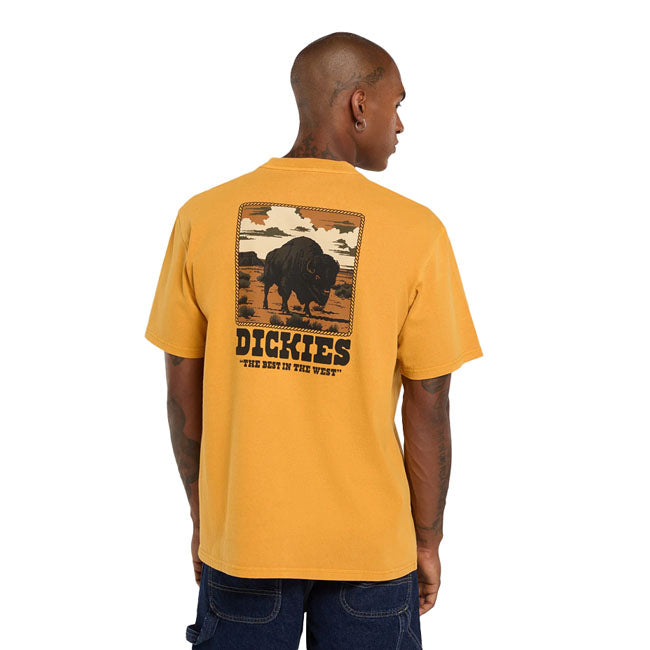 Dickies Darrtown t-shirt sunflower