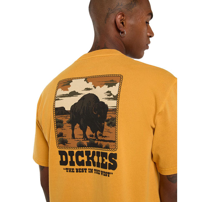Dickies Darrtown t-shirt sunflower