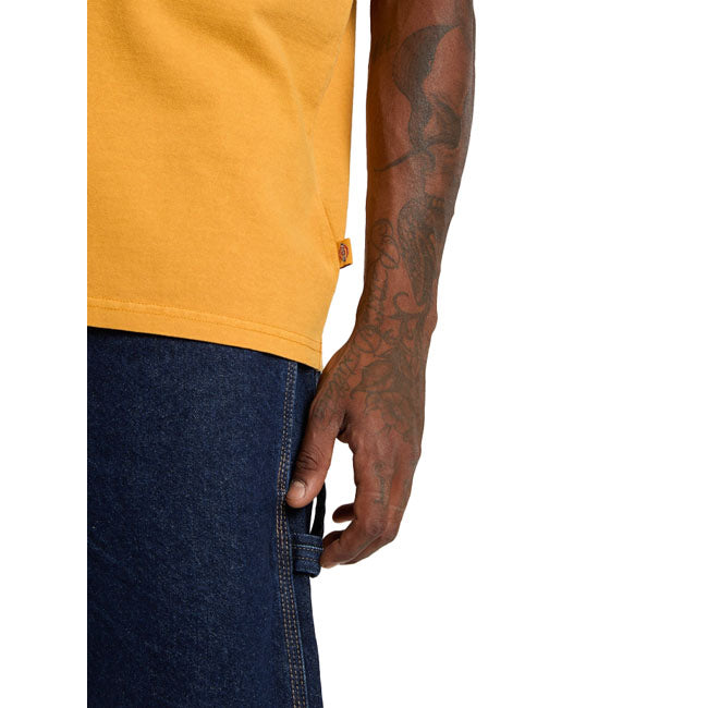 Dickies Darrtown t-shirt sunflower