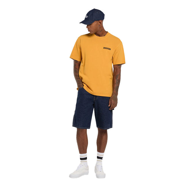 Dickies Darrtown t-shirt sunflower