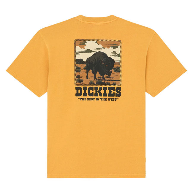 Dickies Darrtown t-shirt sunflower