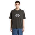 Dickies Plainville t-shirt black