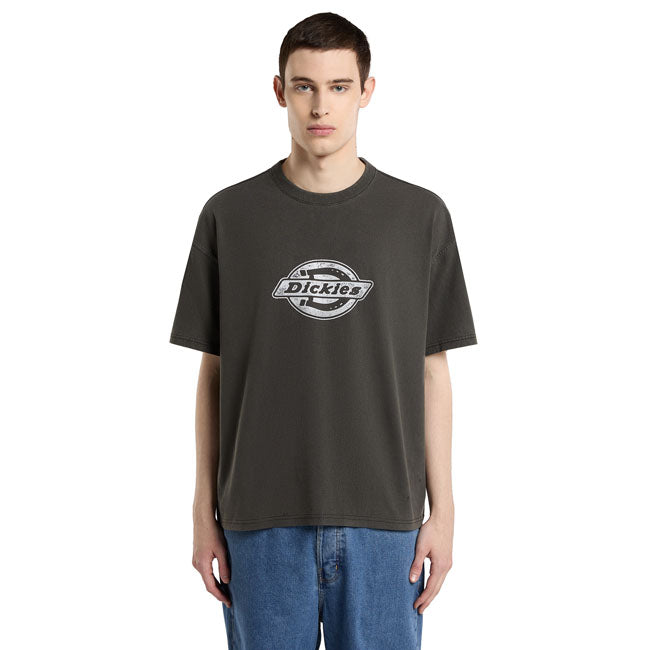 Dickies Plainville t-shirt black