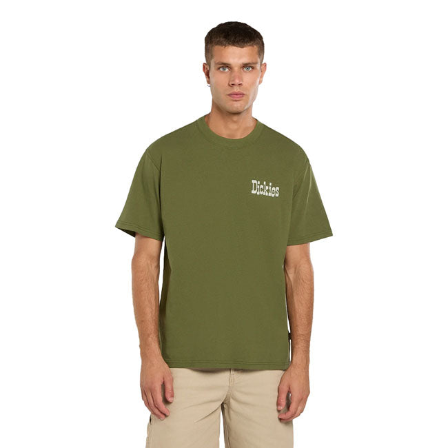 Dickies Vernal t-shirt cypress