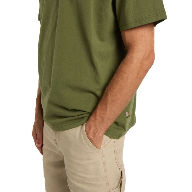 Dickies Vernal t-shirt cypress