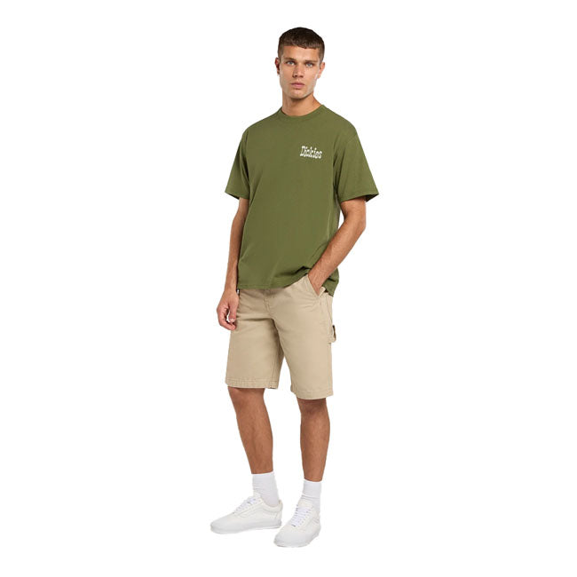 Dickies Vernal t-shirt cypress