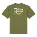 Dickies Vernal t-shirt cypress