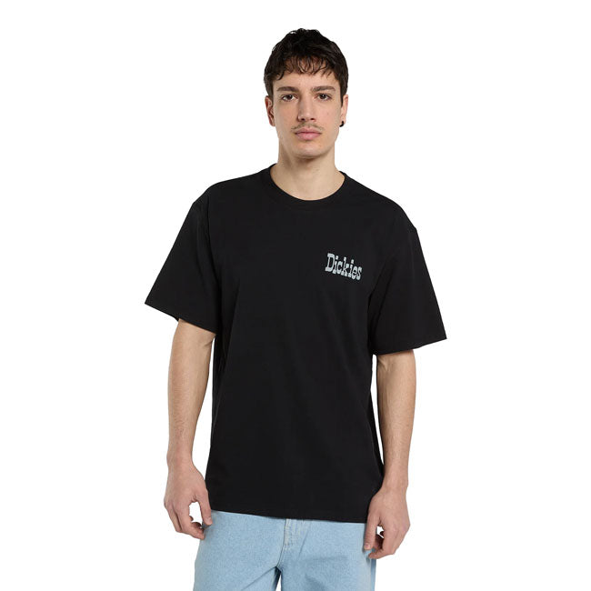 Dickies Vernal t-shirt black
