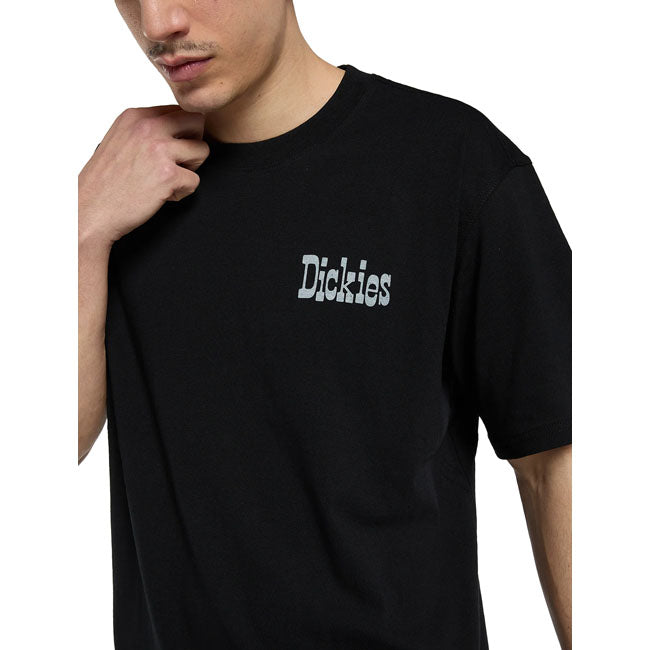 Dickies Vernal t-shirt black