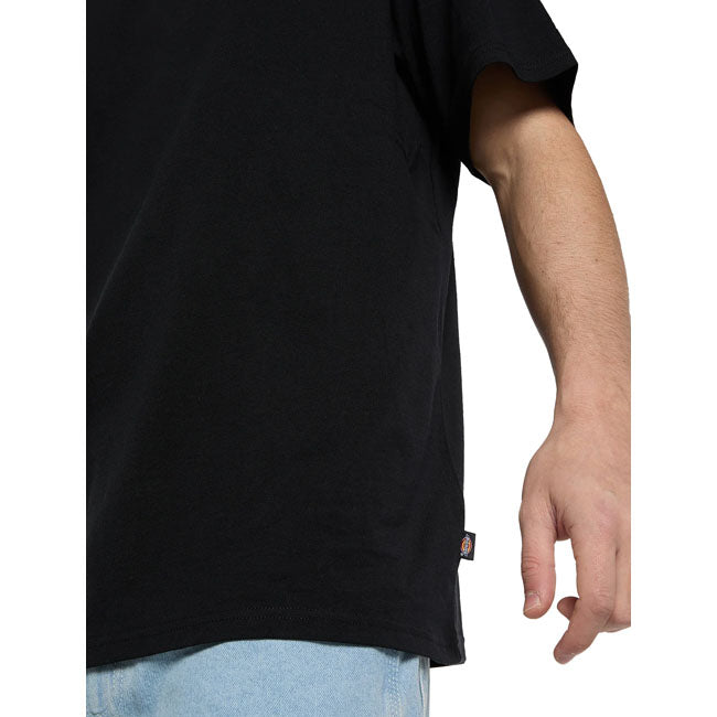 Dickies Vernal t-shirt black