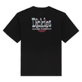 Dickies Vernal t-shirt black