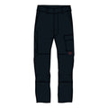 *2 WEEKS EXTRA TRANSIT TIME* Carhartt Flex Canvas multi-cargo pants black
