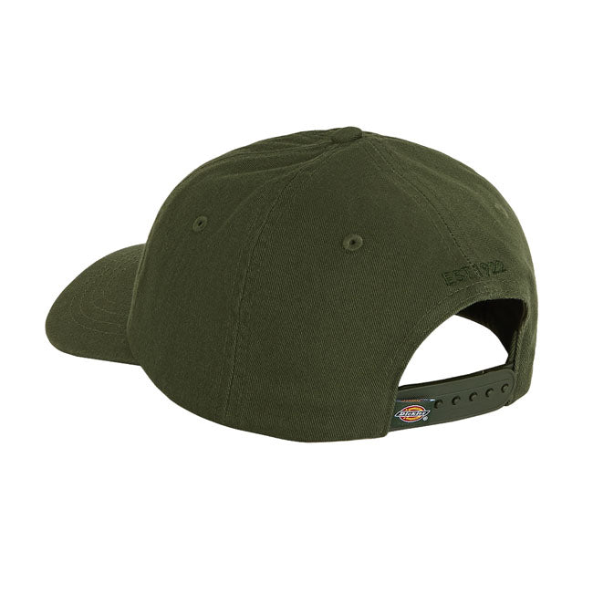 Dickies Hardwick cap deep depths