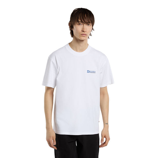 Dickies Gainesville t-shirt white