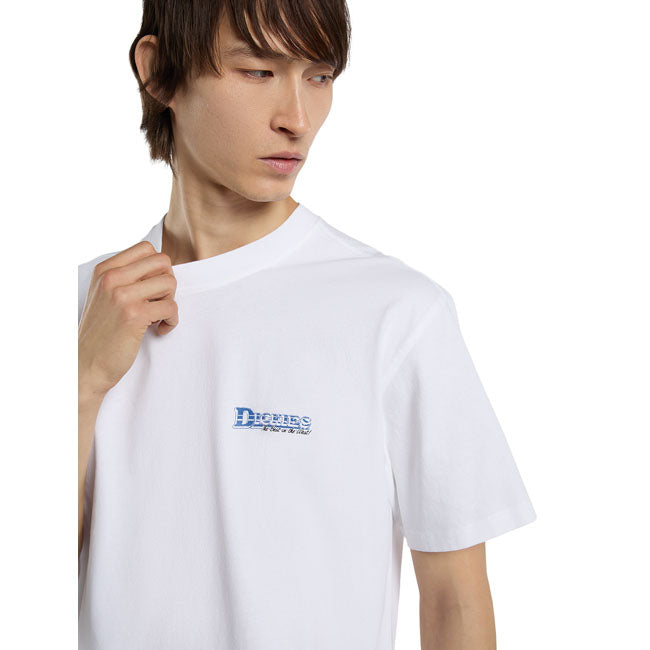 Dickies Gainesville t-shirt white