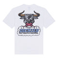Dickies Lakeridge t-shirt white