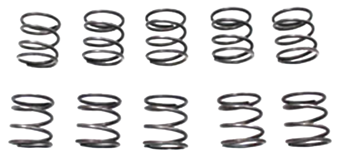 PUSHROD COVER SPRINGS