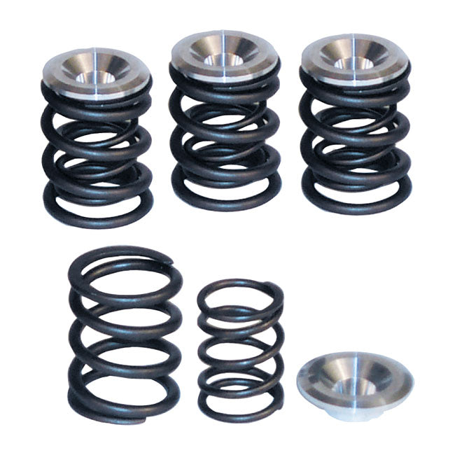 S&S, valve spring kit. STD to .550" lift