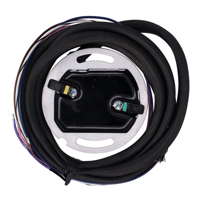 S&S, SuperStock ignition module. 103" S&S Shovel