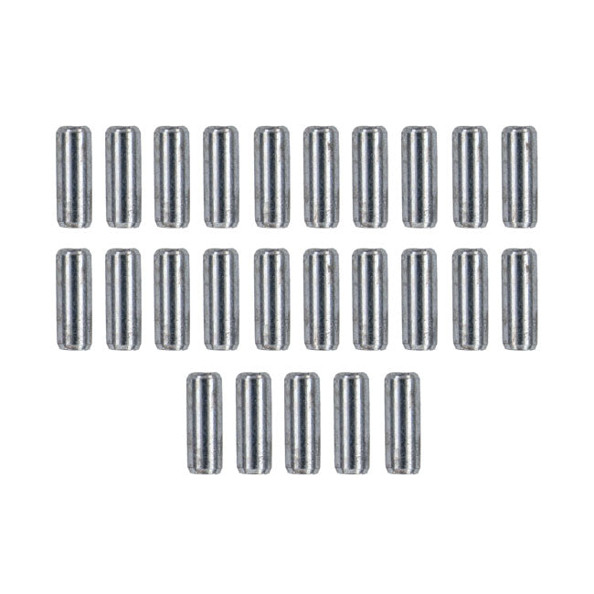 Crankcase roll pin