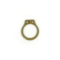 Retaining rings, front footpeg mount