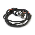 Handlebar switch & wiring kit. Cruise. LED. Chrome — 07-13 FLT/Touring (NU)