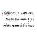 Nut, transmission pulley — 93-06 Softail; FLT/Touring; 93-05 Dyna; 93-22 XL Sportster; 08-12 XR1200 (NU)
