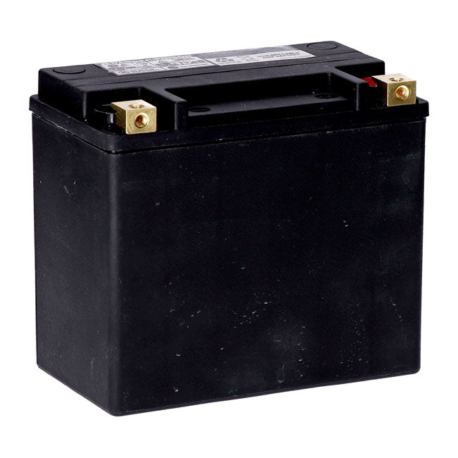 MCS, standard series - AGM sealed battery. 12V, 22Ah. 325CCA