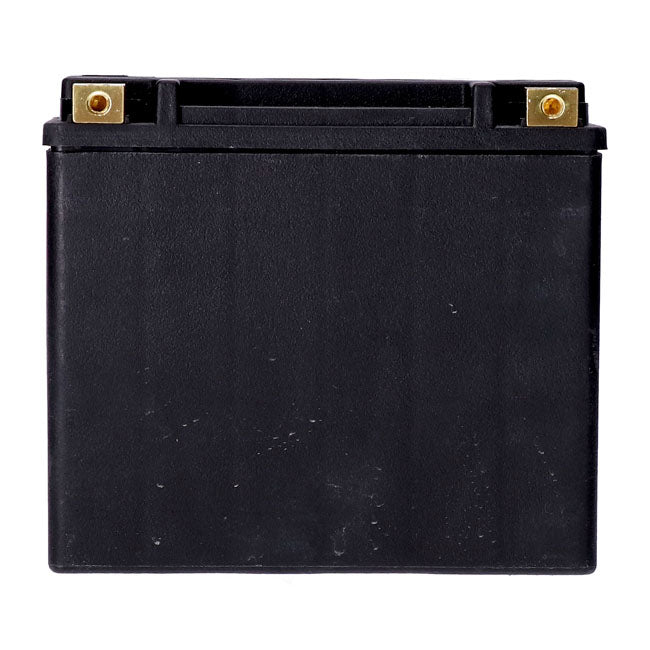 MCS, standard series - AGM sealed battery. 12V, 22Ah. 325CCA