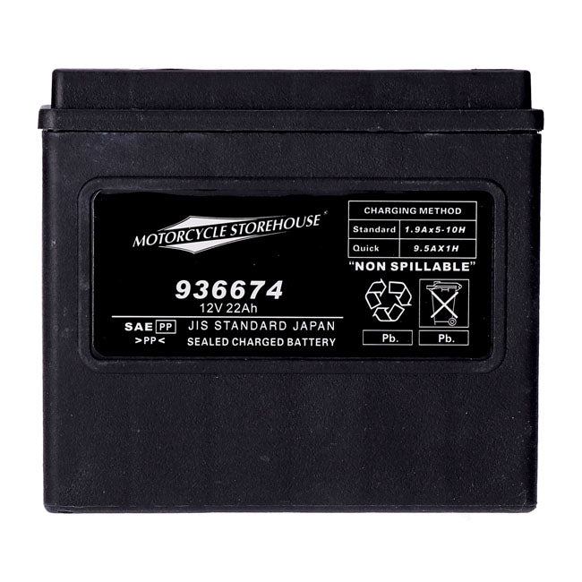MCS, standard series - AGM sealed battery. 12V, 22Ah. 325CCA