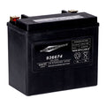 MCS, standard series - AGM sealed battery. 12V, 22Ah. 325CCA