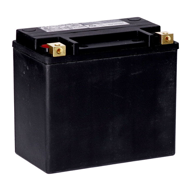 MCS, standard series - AGM sealed battery. 12v, 22ah. 325cca