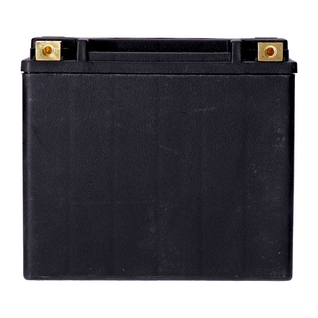 MCS, standard series - AGM sealed battery. 12v, 22ah. 325cca