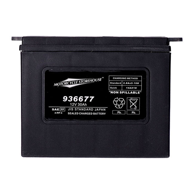 MCS, standard series - AGM sealed battery. 12v, 30ah. 370cca