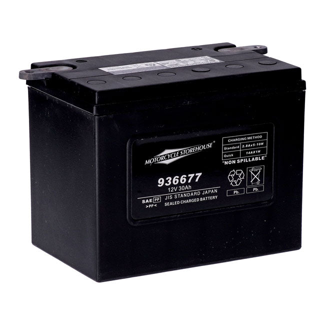MCS, standard series - AGM sealed battery. 12v, 30ah. 370cca