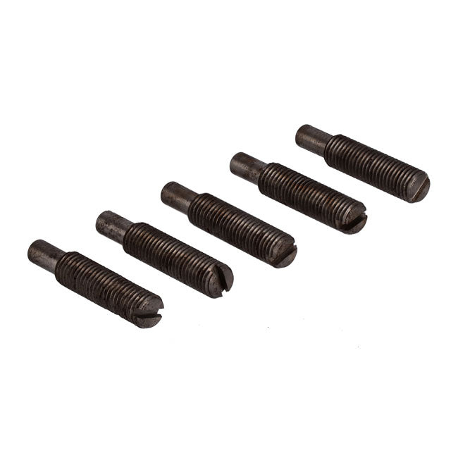 Adjusting screw, worm lever