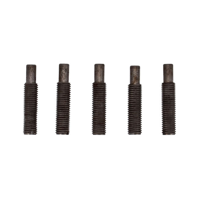 Adjusting screw, worm lever