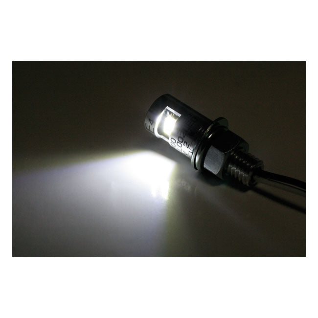 Burdett, LED license plate mount bolt. Chrome