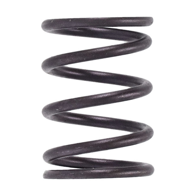 S&S, inner valve spring .550" lift