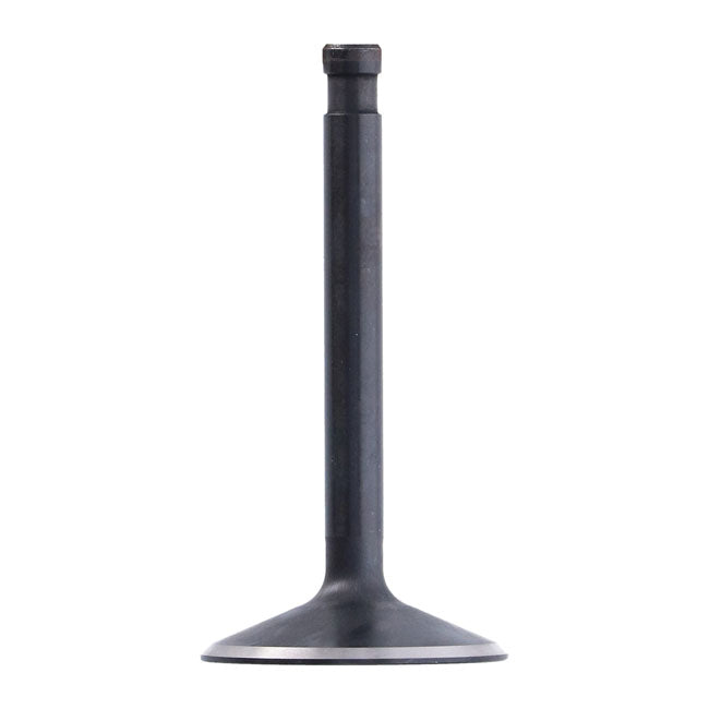 S&S, intake valve. 1.950" diameter